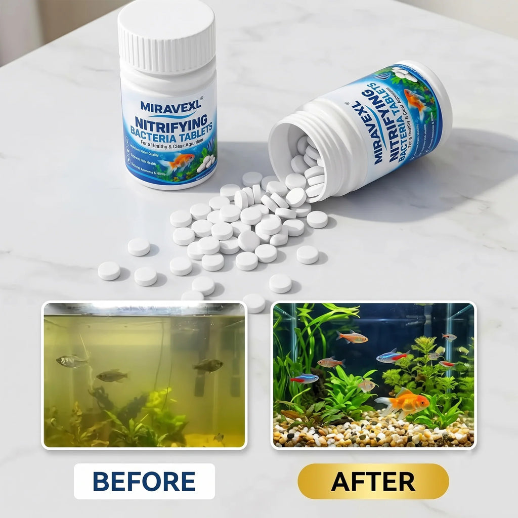 Nitrifying Bacteria Tablets for Aquarium, Rapid Water Clarifier & Bio Filter Starter, Decomposes Fish Waste, Ammonia & Nitrite