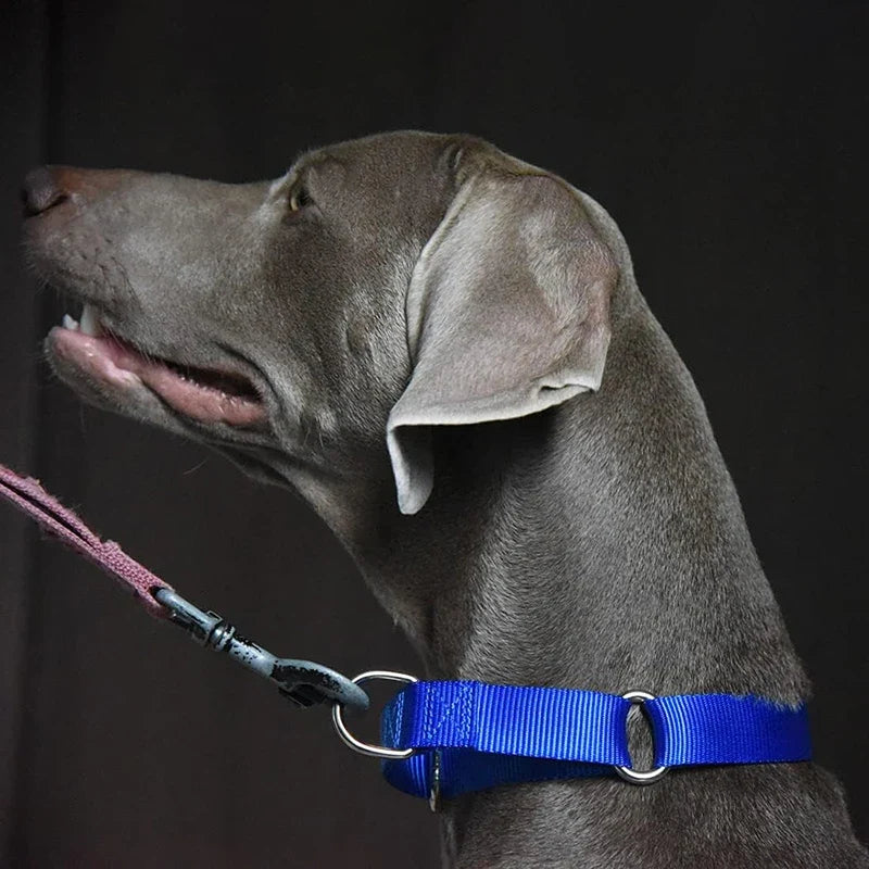 Martingale Dog Collar for Small to Large Breeds, Adjustable Heavy Duty Nylon Half Choking Training Collar for Pulling Dogs