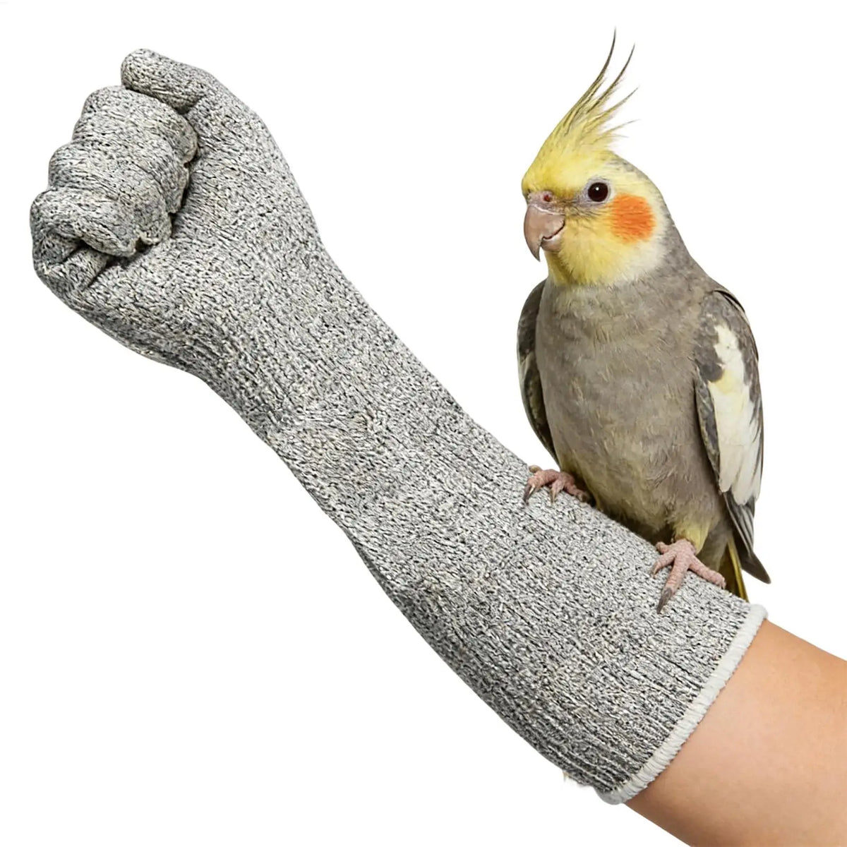 Pet Gloves Bite-resistant Hand Protection Gloves Scratch Resistant Bite Proof Multipurpose Glove For Birds Hamsters Cat Grooming