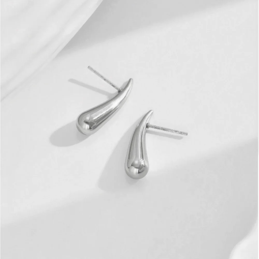 Minimalist Niche Design Water Drop Chili Earrings for Women Fashionable and Versatile Stainless Steel Earrings