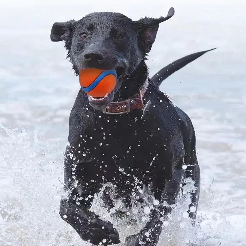 Dog Toy Ball Dog Fetch Ball Toy Tough Pet Ball Puppy Chew Toy Solid Elastic Jumping Ball Pet Accessories For Large Medium Small