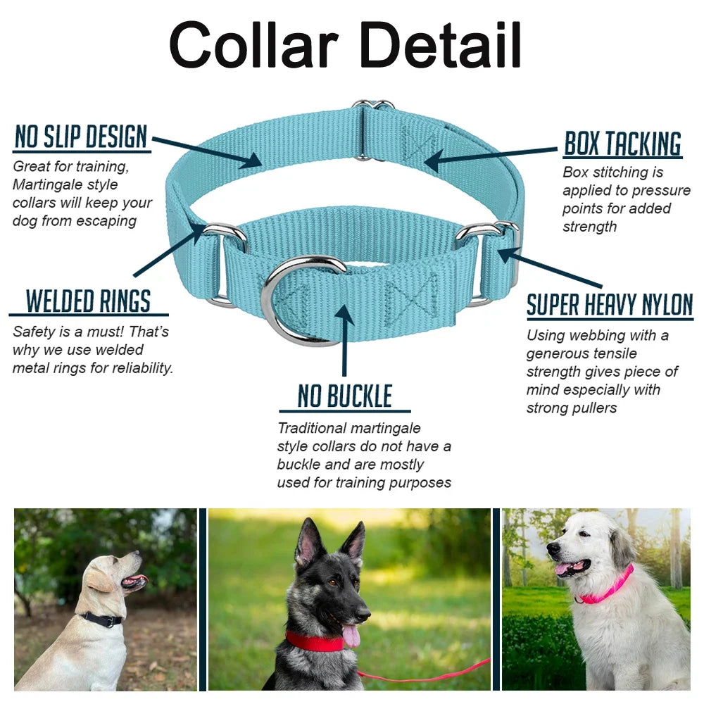 Martingale Dog Collar for Small to Large Breeds, Adjustable Heavy Duty Nylon Half Choking Training Collar for Pulling Dogs