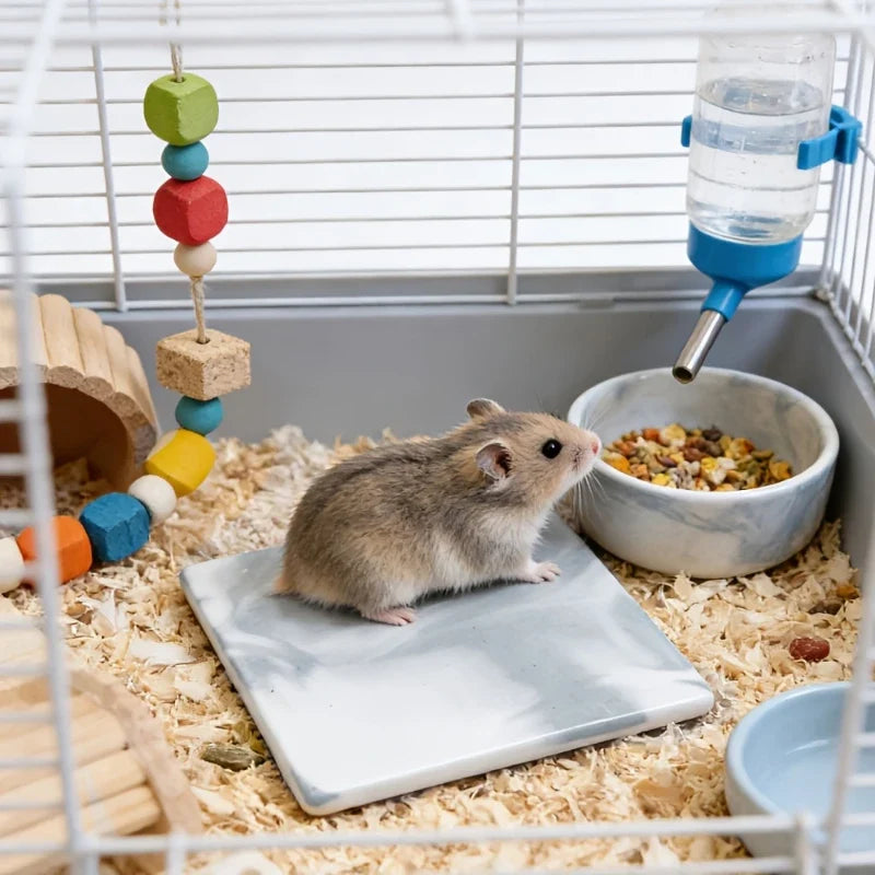 Square Hamster Cooling Pad Chew-proof and Tip-resistant Cooling Mat Cooling Pad for Hamsters Small Pet Easy To Clean
