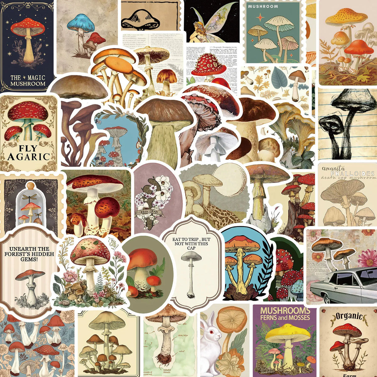 50pcs Aesthetic Mushroom Stickers Pack for Water Bottle, Mushroom Decor Gifts for Women Girl, Cute Vinyl Waterproof Decals
