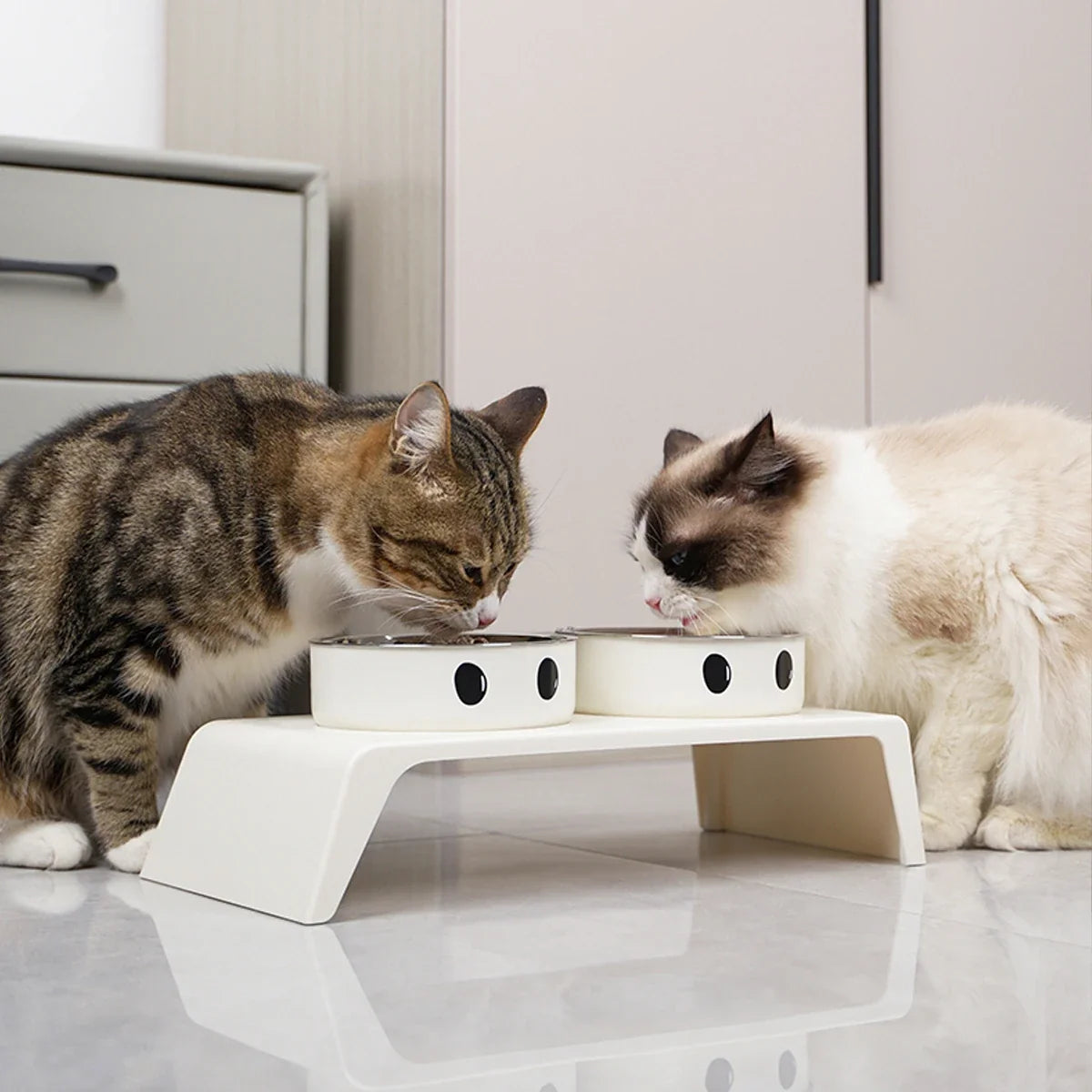Elevated Pet Dog Feeder Bowls Raised Stand with Double Stainless Steel Food Water Bowls For Small Medium Large Dogs Cats