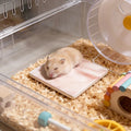 Square Hamster Cooling Pad Chew-proof and Tip-resistant Cooling Mat Cooling Pad for Hamsters Small Pet Easy To Clean