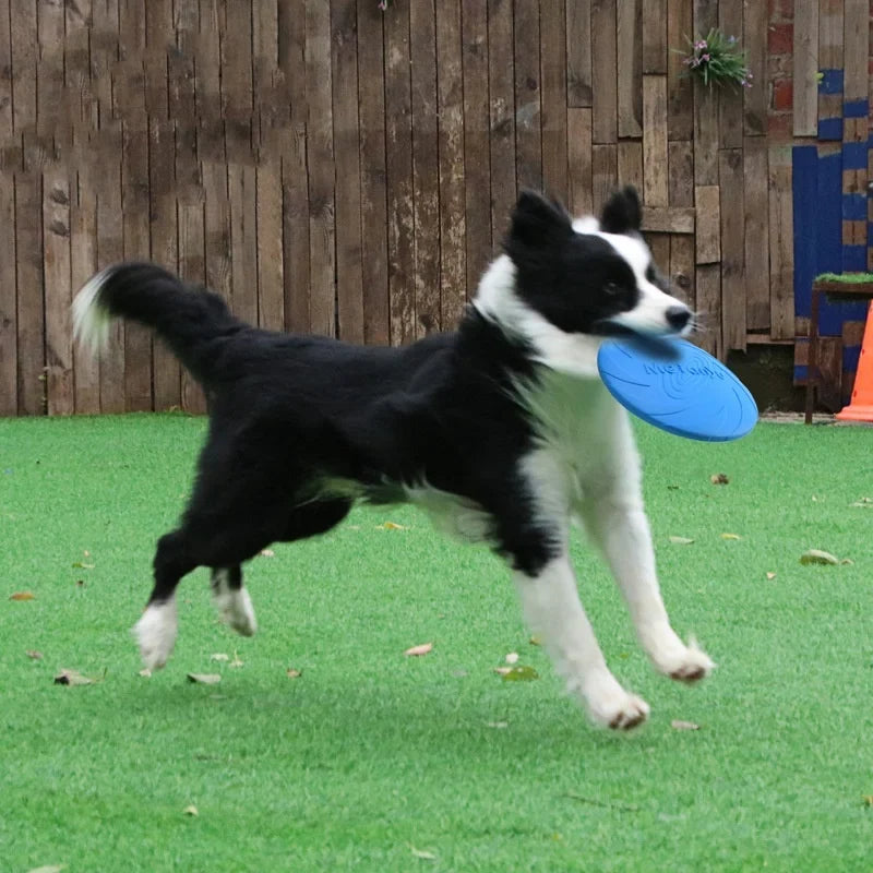 Dog Toys Soft Silicone Flying Disc Durable Bite Resistant Multicolor Frisbee Puppy Outdoor Interactive Training Supplies
